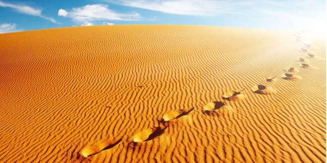 Scattershooting Frac Scattershooting: 8 Notable Quick Hits From The Sand Patch - Infill ...
